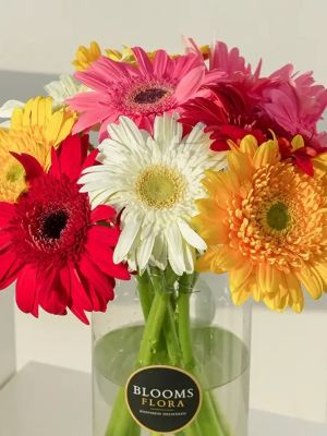  Malatya Çiçek Gönder - renkli cerbela 