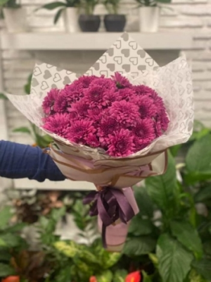  Malatya Çiçek Siparişi - kasımpatı