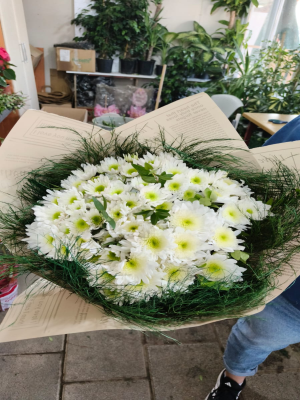  Malatya Çiçekçiler - beyaz kasımpatı buketi