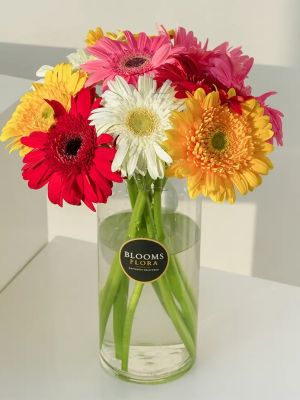 Malatya Çiçekçi - renkli cerbela 