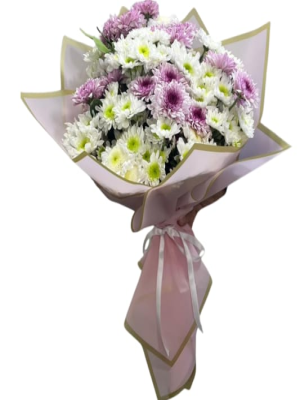  Malatya Çiçek Gönder - kasımpatı buketi